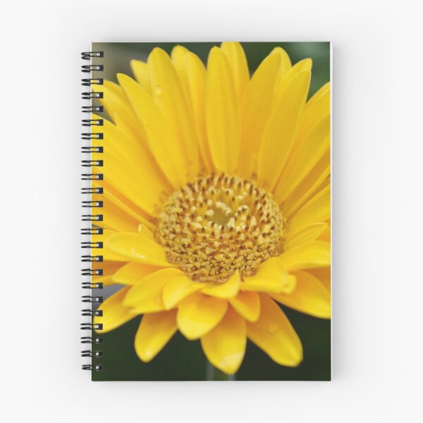 Artikelvorschau, Große gelbe Blume entworfen und verkauft von jstxrm.