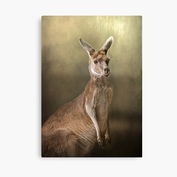 Portrait of a 'roo.... Canvas Print