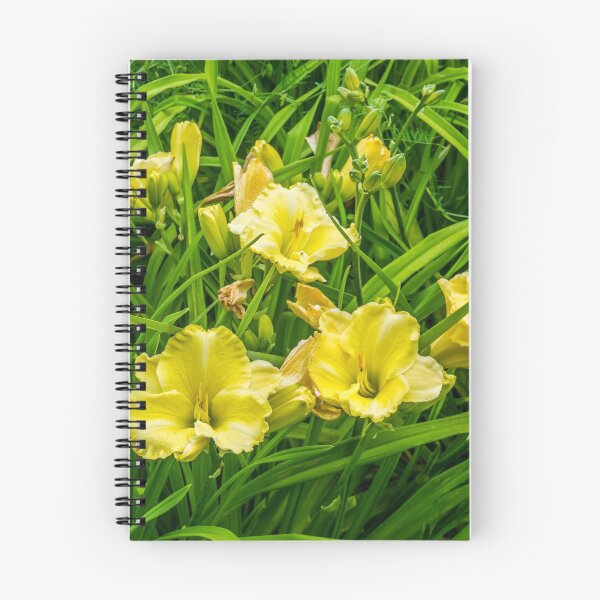 Item preview, Yellow Day Lily Background designed and sold by georgecolephoto.