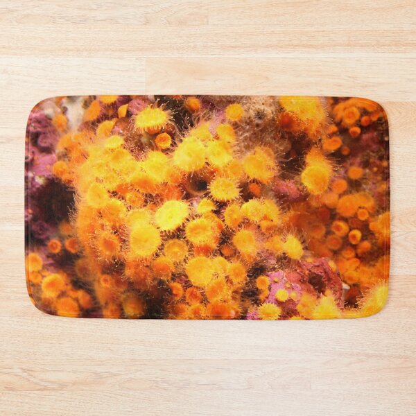 Item preview, Colors of the Ocean.  Undersea wonders. designed and sold by picturedlcphoto.