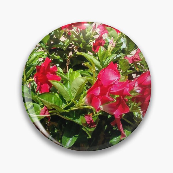 Item preview, Red flower vine designed and sold by debravalenti.