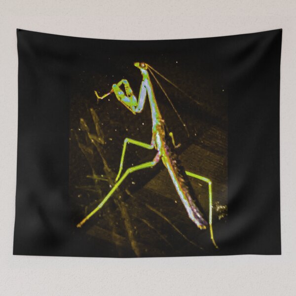 Item preview, Praying Mantis designed and sold by GrudleBay.