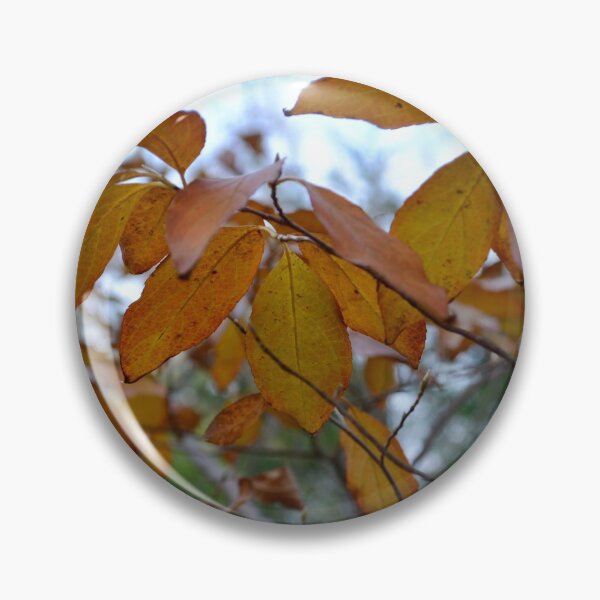 Item preview, Warm Autumn Afternoon designed and sold by jstxrm.