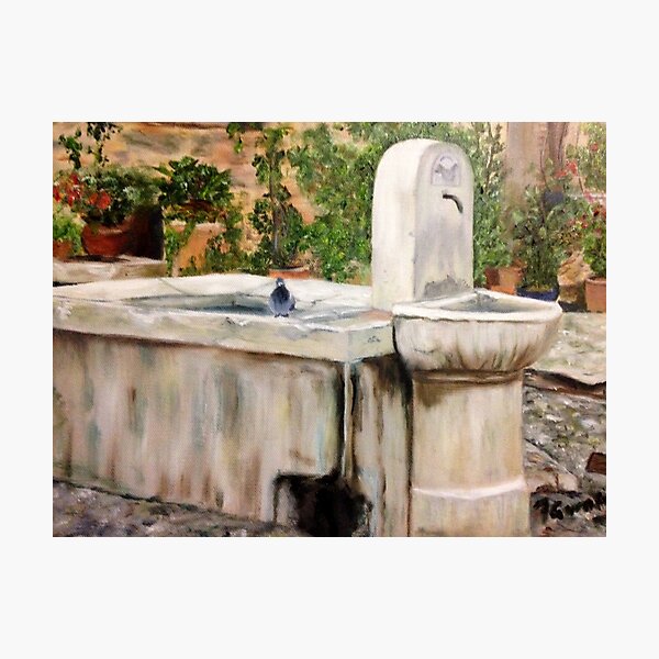 Fountain Photographic Print