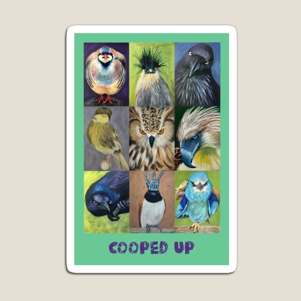 Cooped up birds, a collection 9 different types of birds Magnet