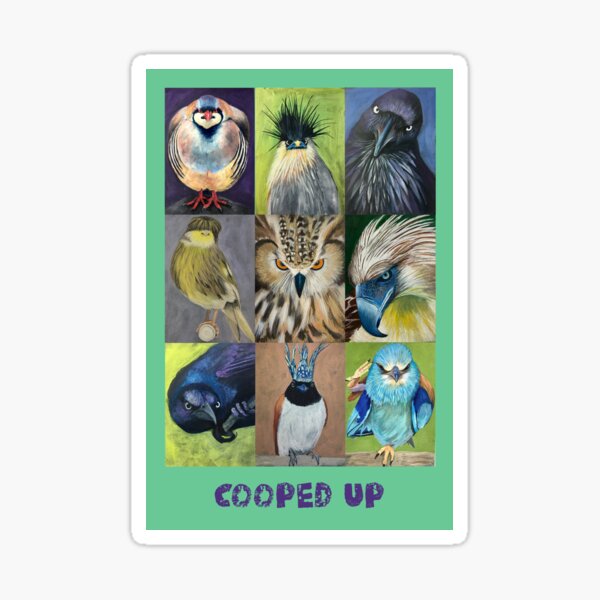 Cooped up birds, a collection 9 different types of birds Sticker