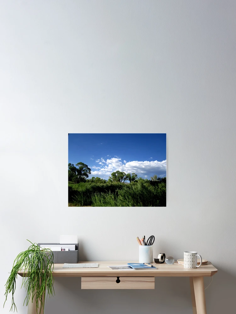 Thumbnail 2 of 3, Poster, Windblown designed and sold by MARILYN DIAZ.