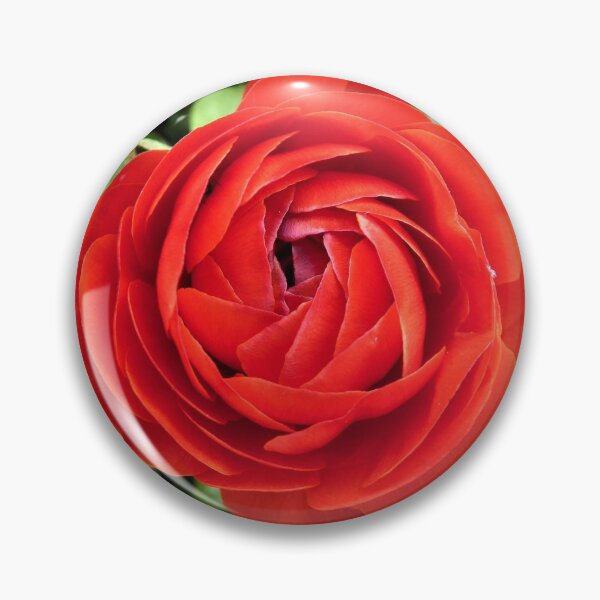 Item preview, Persian Buttercup designed and sold by Fara.