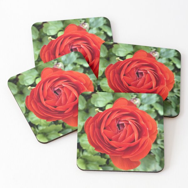 Item preview, Persian Buttercup designed and sold by Fara.