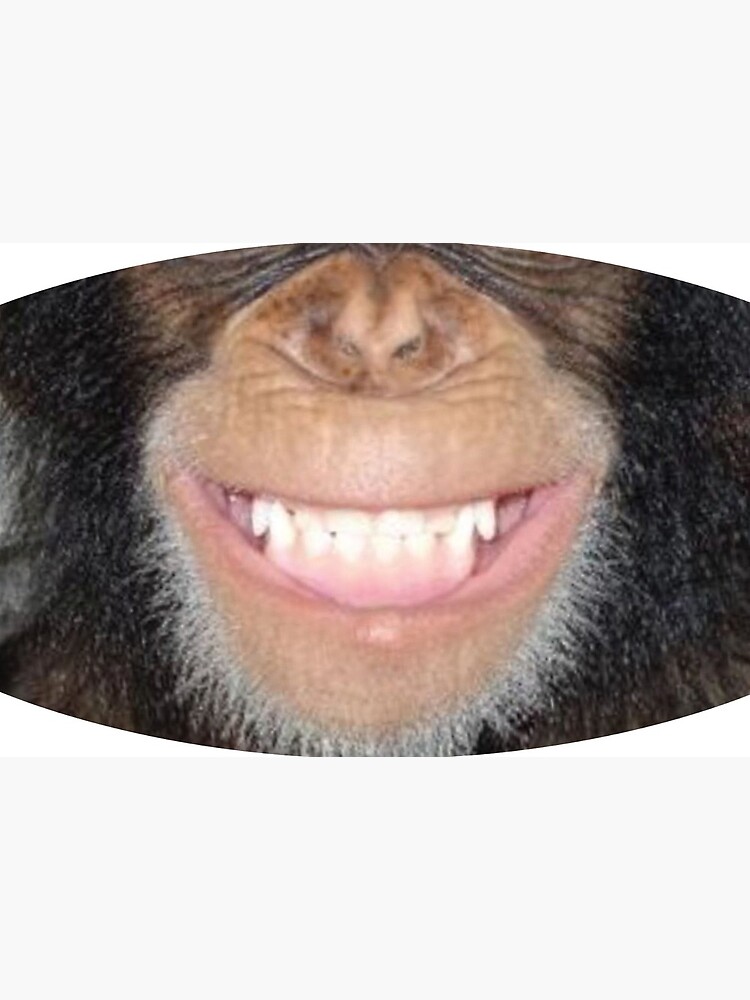 Chimp Grin Mask de Zulusneakr