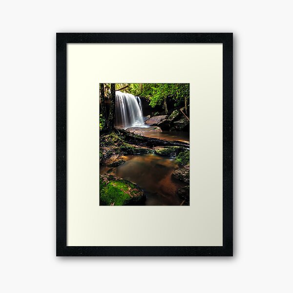 Untidy Forest Framed Art Print