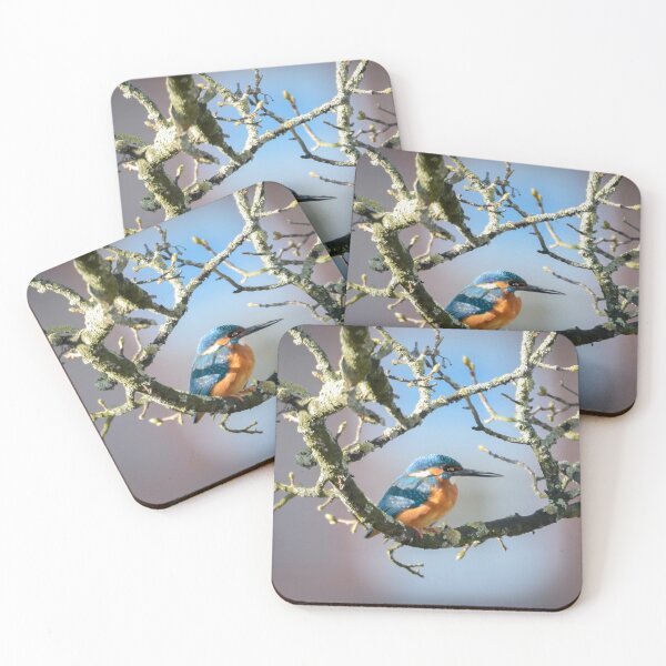 Item preview, Stunning Kingfisher on branch designed and sold by InterestingImag.
