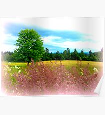 Summer hues Poster