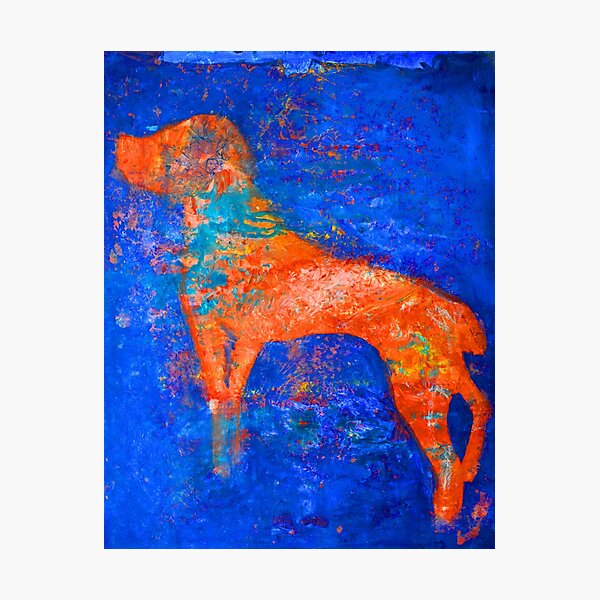 Abstract Spaniel Dog Photographic Print