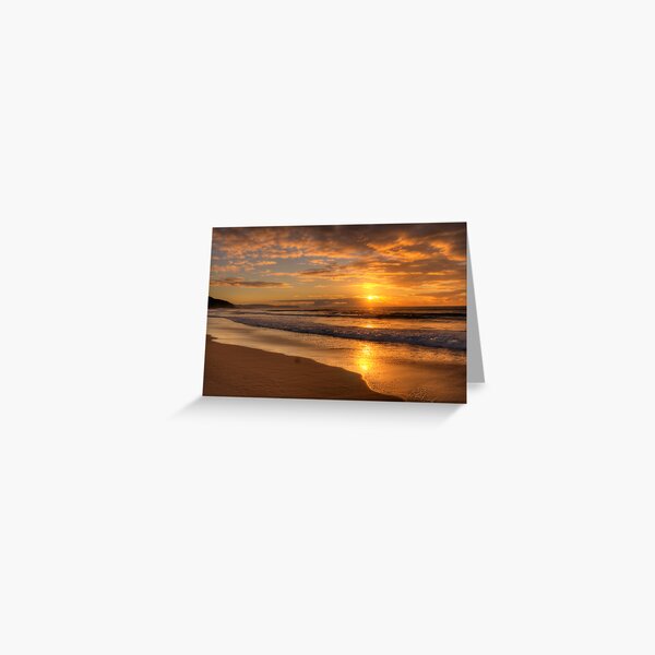 Item preview, Daydream Believer - Whale Beach,Sydney - The HDR Experience designed and sold by Salieri1627.
