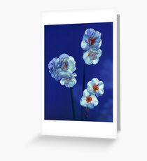 Daffodils Greeting Card
