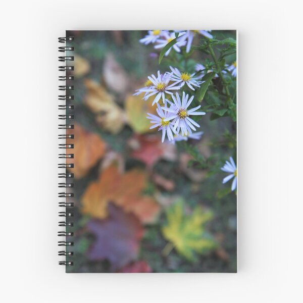 Item preview, Fighting Fall.  Daisy Survivor. designed and sold by picturedlcphoto.