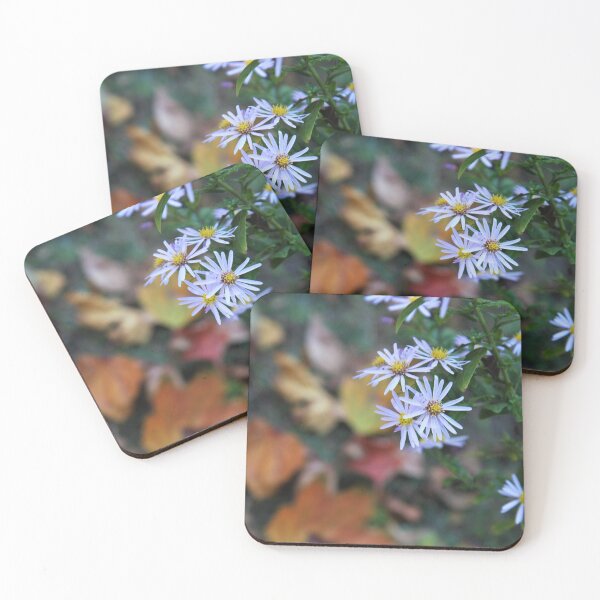 Item preview, Fighting Fall.  Daisy Survivor. designed and sold by picturedlcphoto.