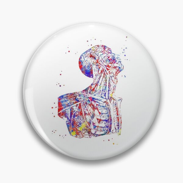 Item preview, Human torso, human anatomy, human body designed and sold by Rosaliartbook.