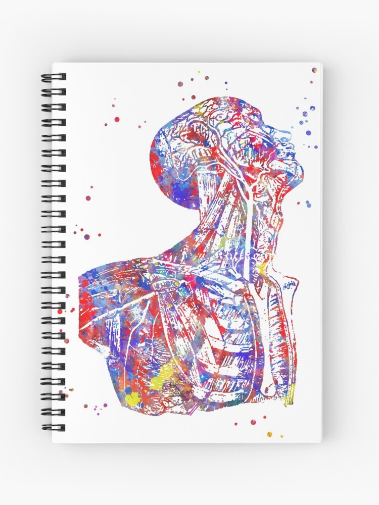 Cuaderno de espiral «Torso humano, anatomía humana, cuerpo humano» de  Rosaliartbook | Redbubble