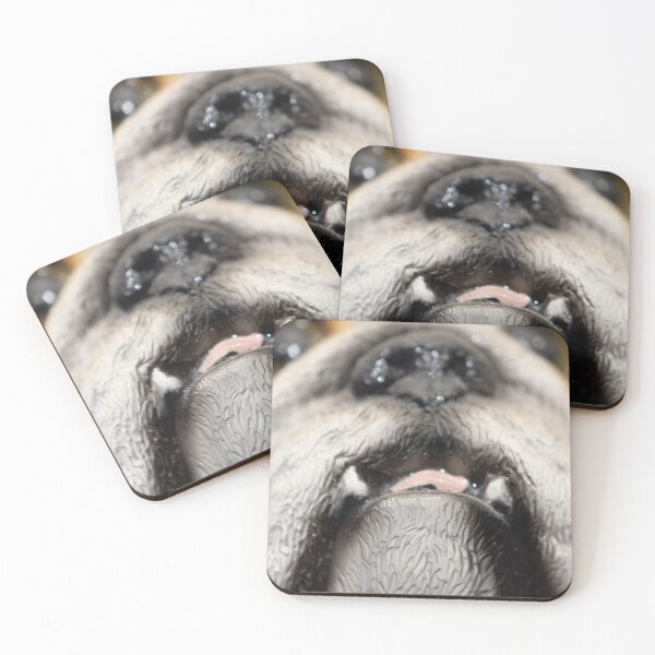 Item preview, Detail of the muzzle of a Maine Coon cat sticking its tongue out designed and sold by brambillasimone.