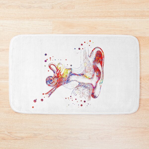 Item preview, Ear anatomy, Inner ear, Cochlea Histology,  Audiology designed and sold by Rosaliartbook.