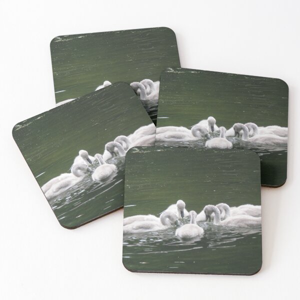 Item preview, Cute Fluffy Baby Mute Swans Photograph designed and sold by naturegallery.
