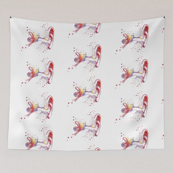 Item preview, Ear anatomy, Inner ear, Cochlea Histology,  Audiology designed and sold by Rosaliartbook.
