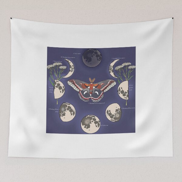 Item preview, Moth, yarrow and moon art print designed and sold by Oleander Schweiger.