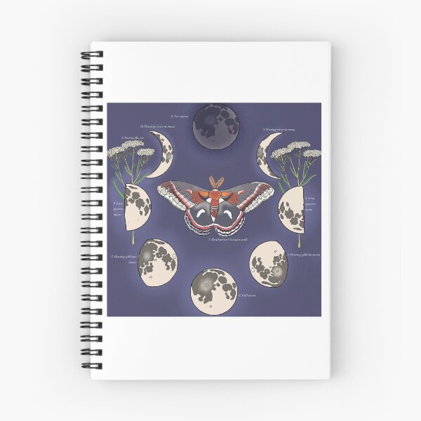 Item preview, Moth, yarrow and moon art print designed and sold by Oleander Schweiger.