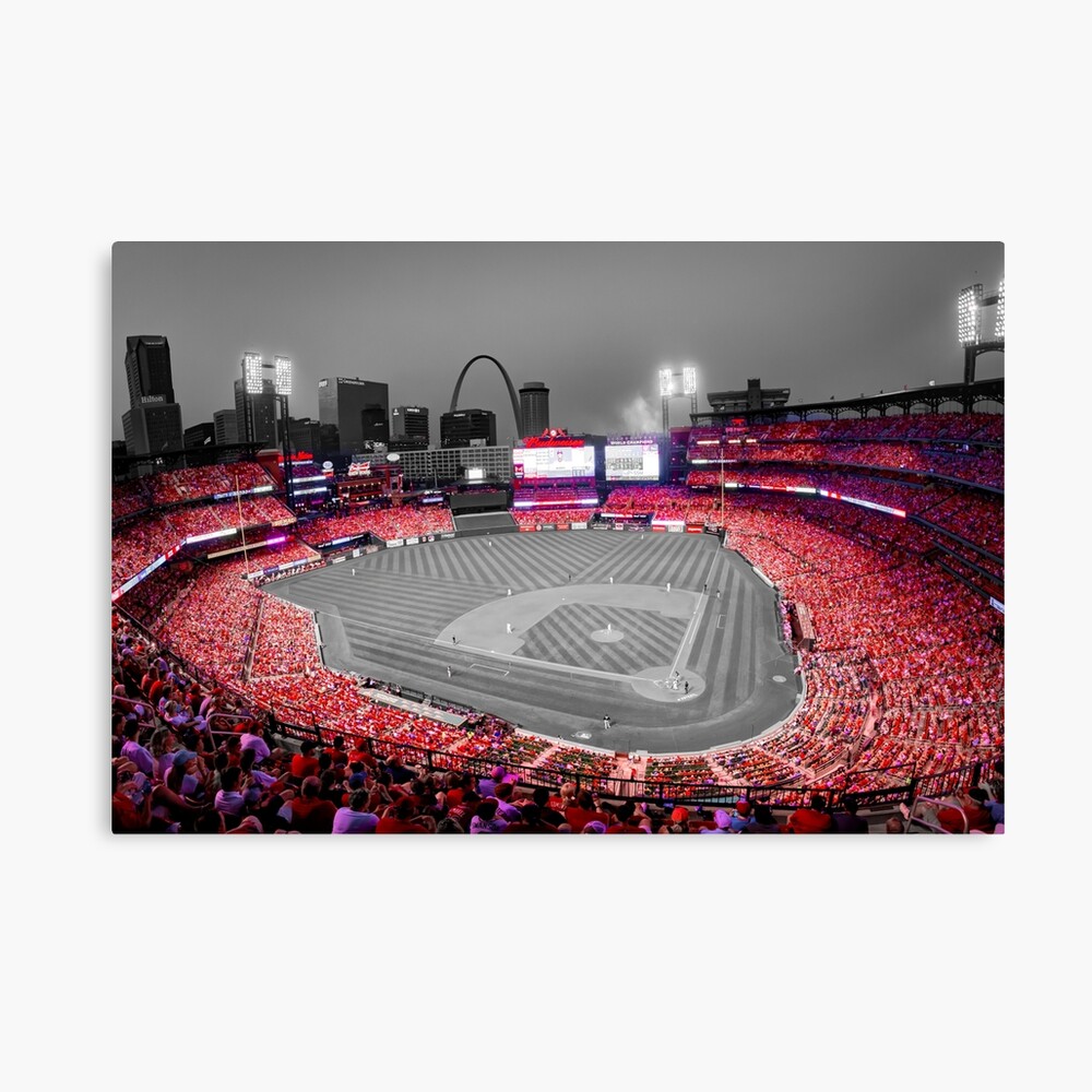 St Louis Cardinals Baseball Busch Stadium Pencil Drawing 