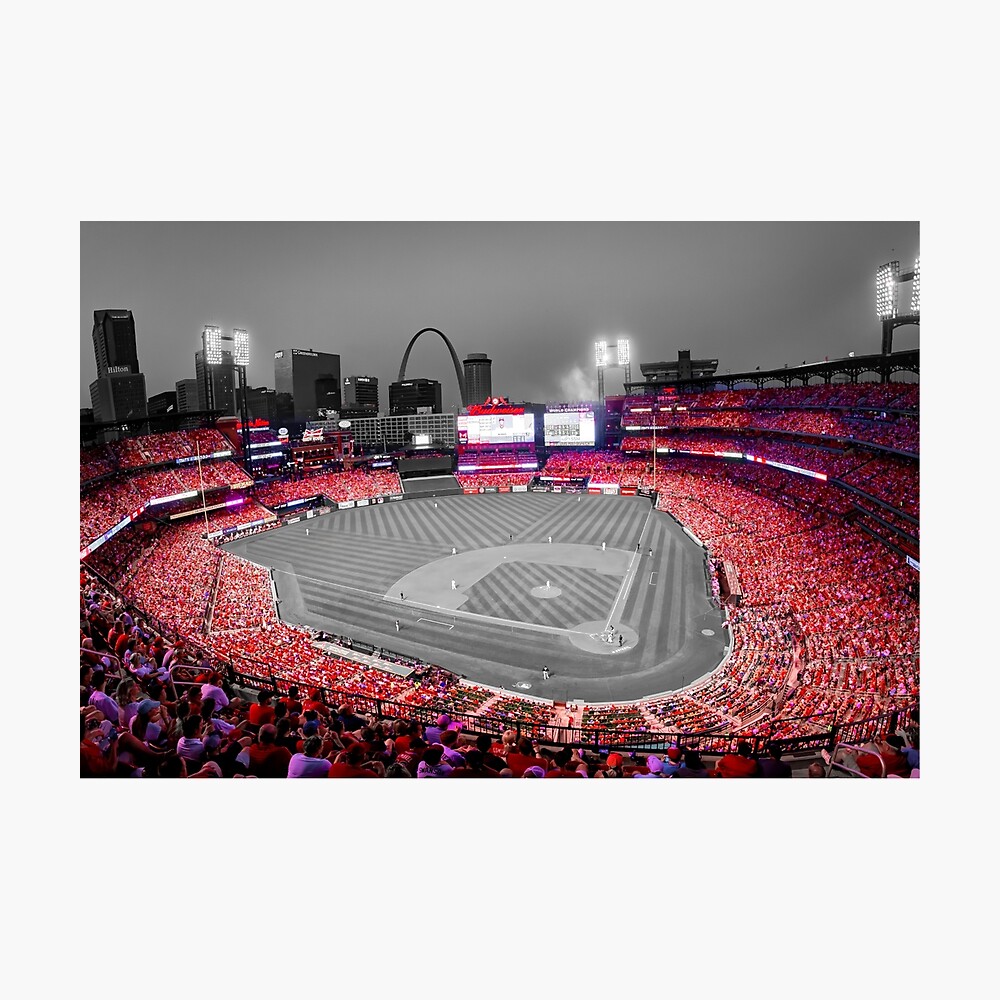 St Louis Cardinals Baseball Busch Stadium Pencil Drawing 