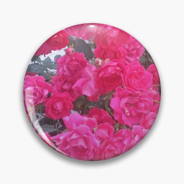Item preview, Rosebush, garden, nature designed and sold by Sternchen2789.