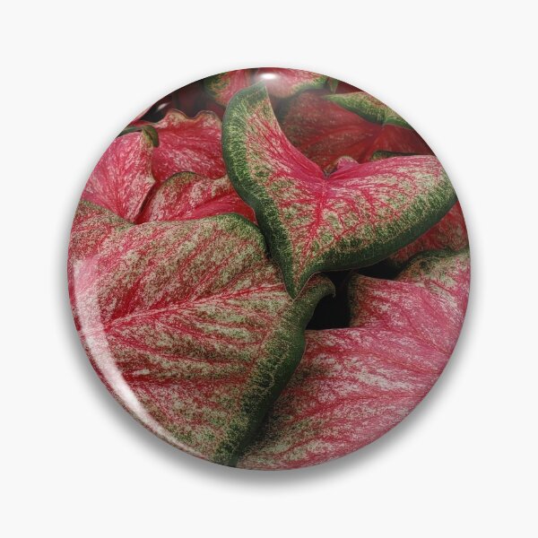 Item preview, Floral Watermelon designed and sold by Woofhound.