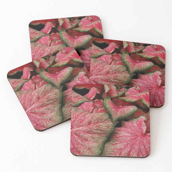 Item preview, Floral Watermelon designed and sold by Woofhound.