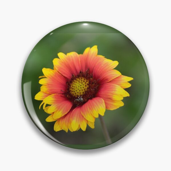 Item preview, Full Bloom designed and sold by Shelley Wall.