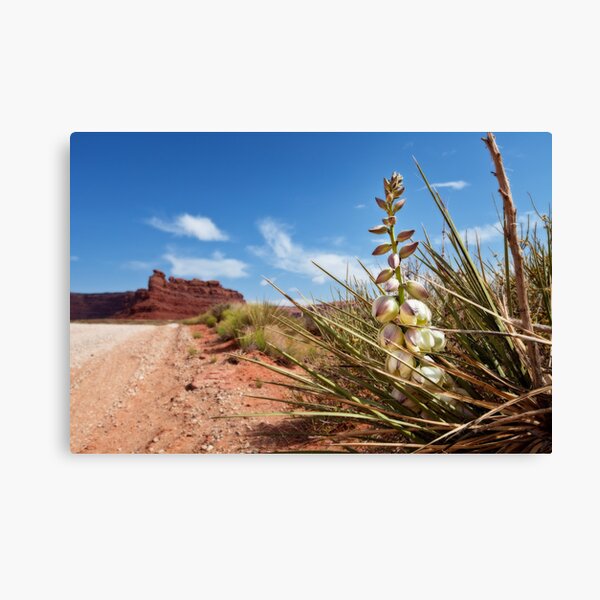 Item preview, Ghost along the Valley of the Gods designed and sold by Owed To Nature.