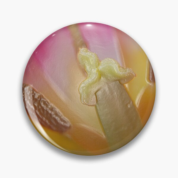 Item preview, Tulipa 'Ballade' AGM Tulip Lily-flowered Group April  Artistic filter applied to photo designed and sold by Chris Burrows.