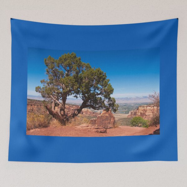 Item preview, Beauty of the Pinyon Pine designed and sold by Lucinda Walter.