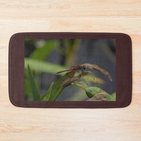 Item preview, White-faced Meadowhawk Dragonfly designed and sold by ThruJensLens.