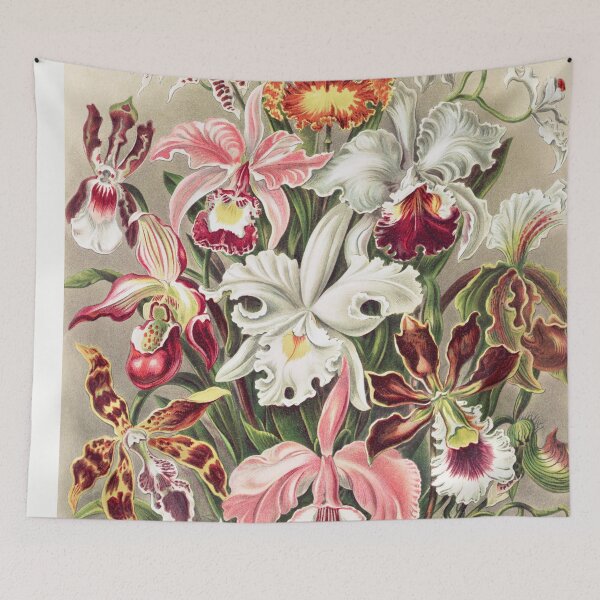 Item preview, Antique Botanical Illustration of Orchid Flowers (1904) designed and sold by moonandcat.