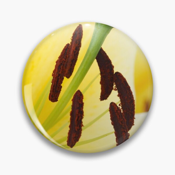 Item preview, Lilium  'Yellow Rocket'  Oriental Lily   designed and sold by Chris Burrows.