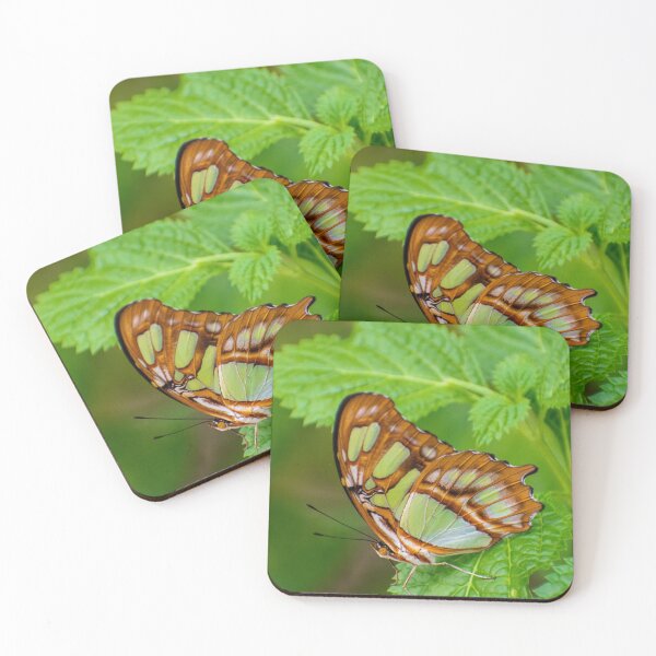 Item preview, Perched designed and sold by Shelley Wall.