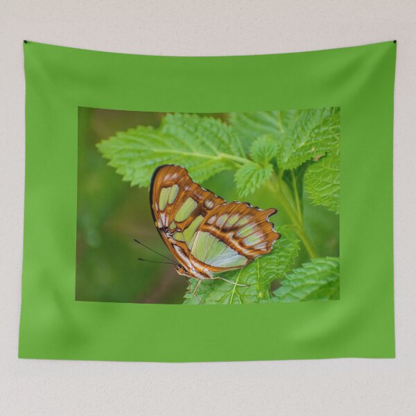 Item preview, Perched designed and sold by Shelley Wall.