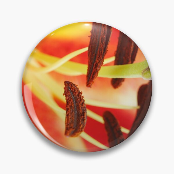 Item preview, Lilium  'Starburst'   designed and sold by Chris Burrows.