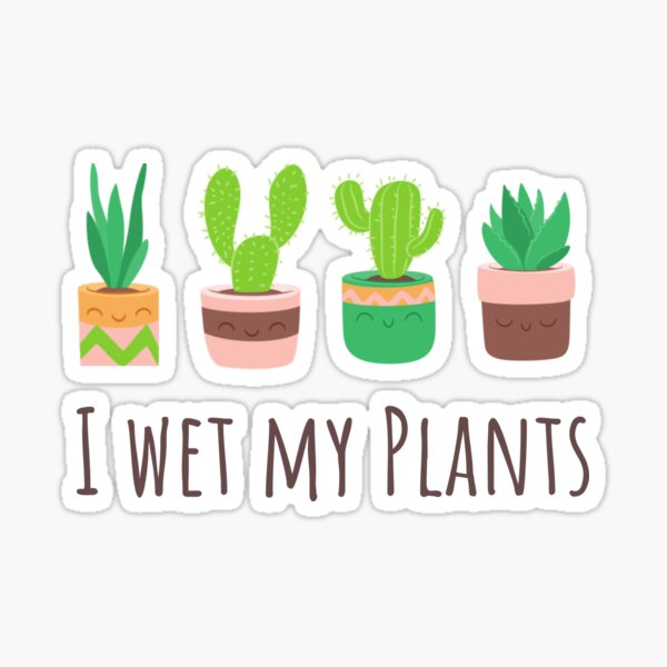 I Wet My Plants Funny Quote Cactus Plants Cute And Awesome Baby Gift Sticker