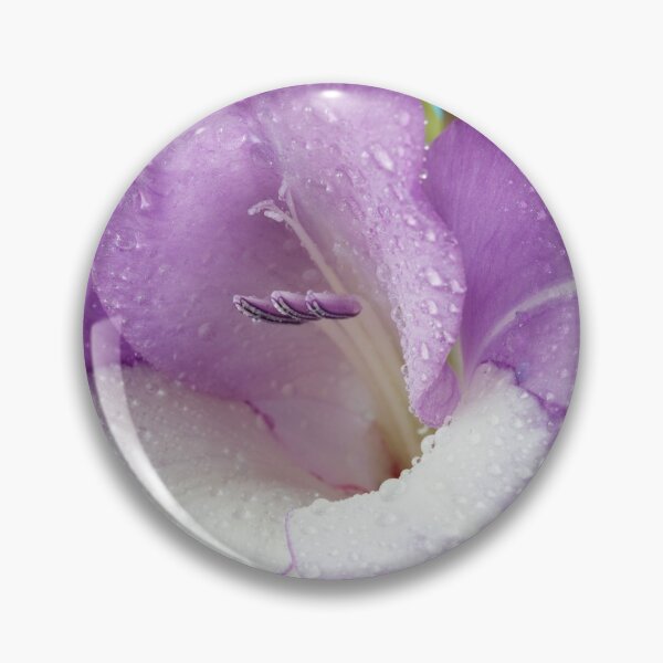 Item preview, Gladiolus  'Nori'   designed and sold by Chris Burrows.