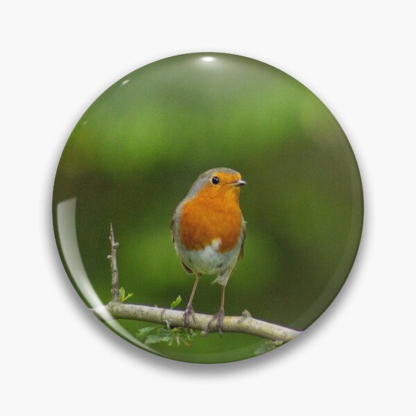 Item preview, Robin On Perch designed and sold by ellenmpics.