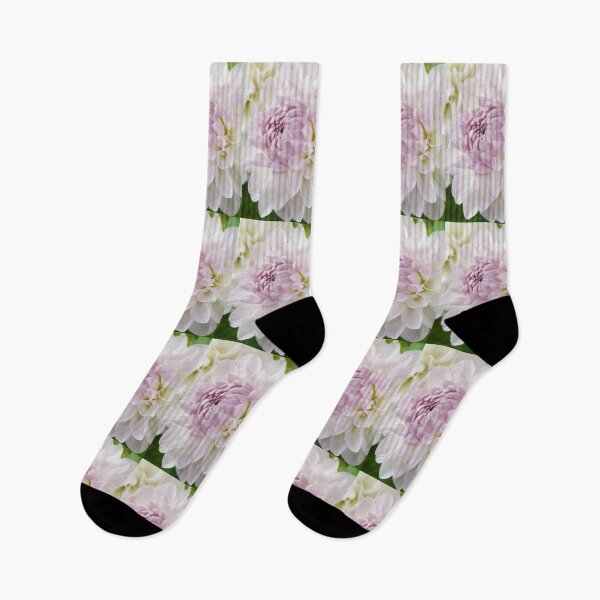 Item preview, Dahlia  'Eveline'  Decorative  Small  designed and sold by Chris Burrows.