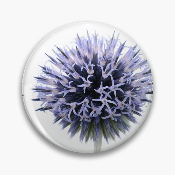 Item preview, Echinops designed and sold by Chris Burrows.